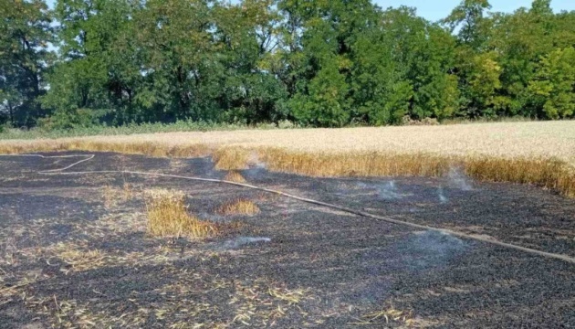 Агресія рф цьогоріч завдала збитків сільгосппідприємствам Кіровоградщини на 5,1 млн грн