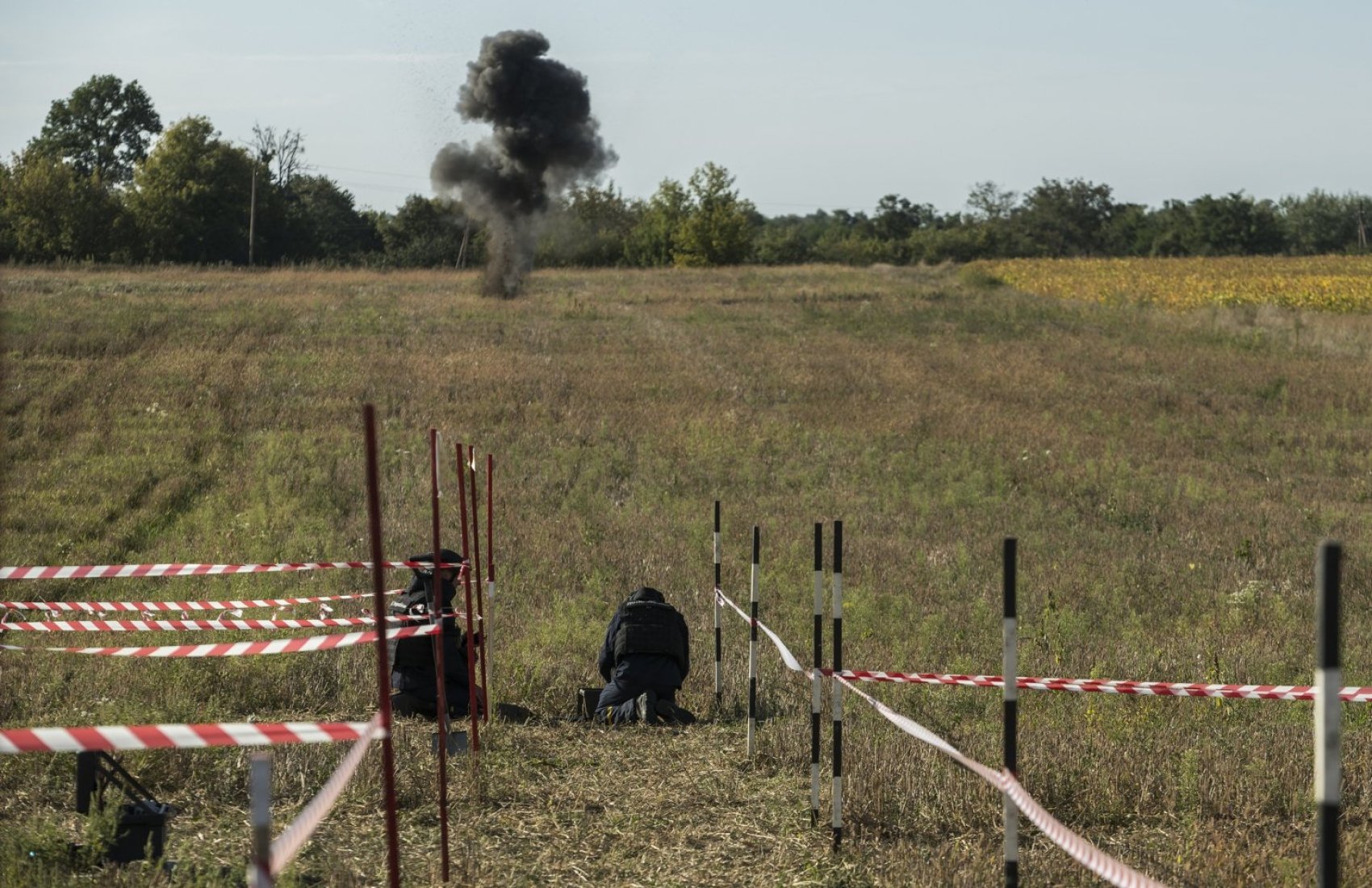 Вартість розмінування непропорційна вартості землі в Україні 