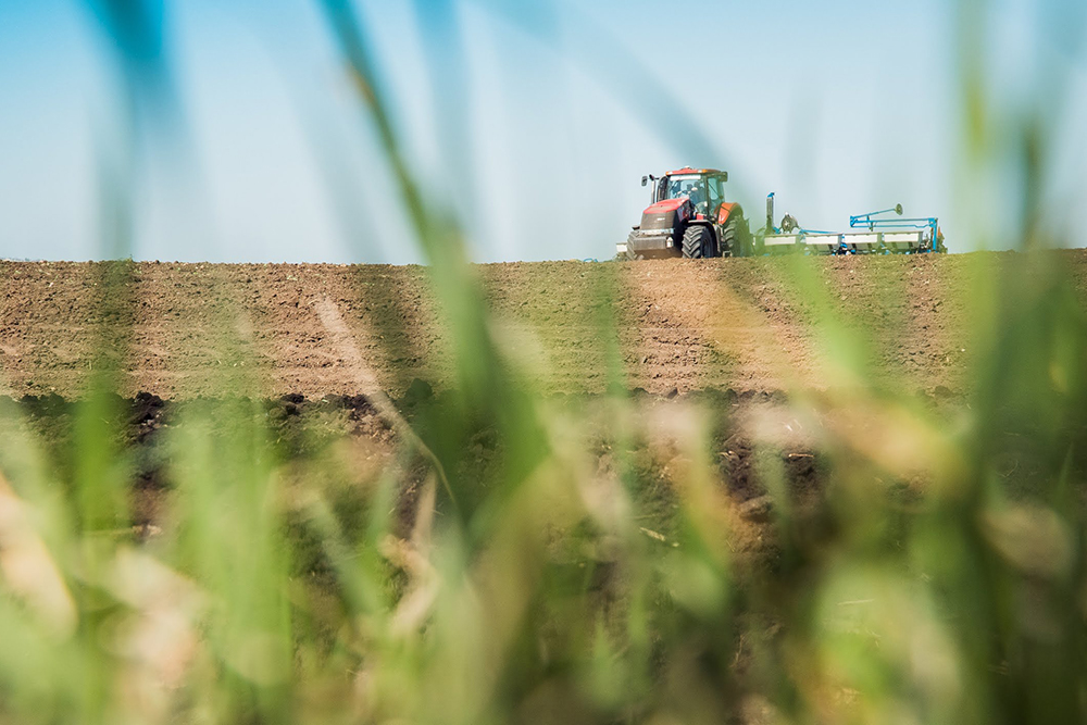 Аграрії почали посівну озимих