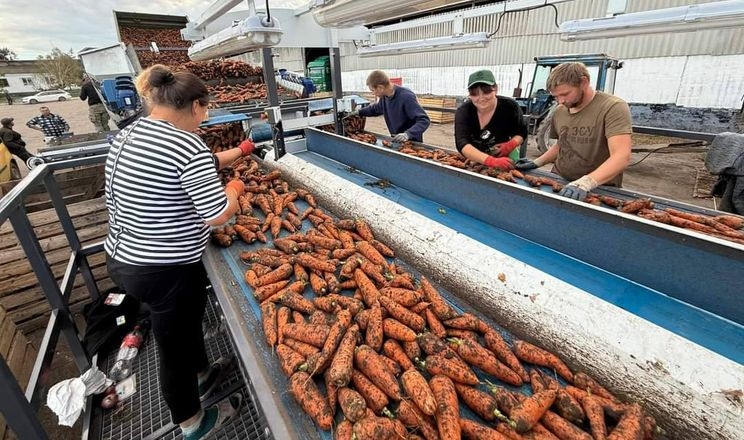 «ПАЕК» запустила лінію фасування моркви