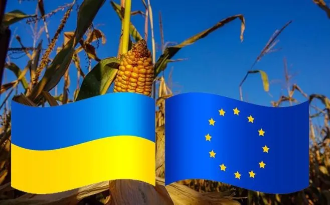 Україна має повернутися до лібералізації торгівлі кукурудзою з Європейським Союзом
