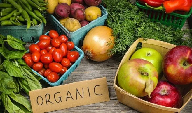 France Revives Organic Vegetable and Fruit Market Due to Decreasing Inflation