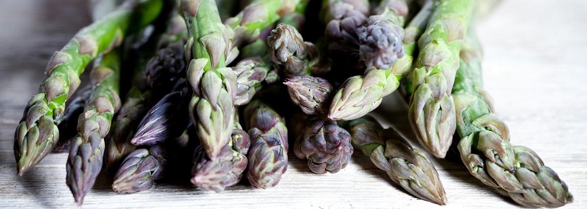 The Asparagus Season Has Started in Zhytomyr Region: Prices Have Risen to 400 UAH per Kilogram