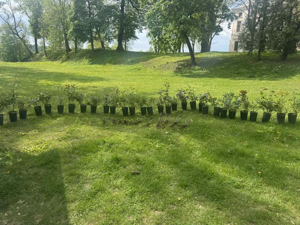 Vishniivets Palace Decorated with Over 150 Roses Thanks to Eco-Initiative