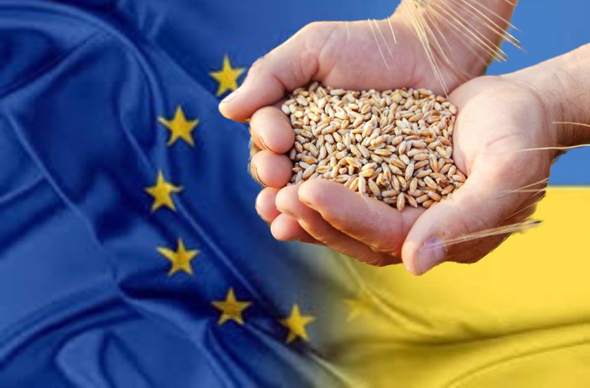 Україна у 2024 році експортувала до ЄС зернових та агропродукції на 4,4 млрд євро