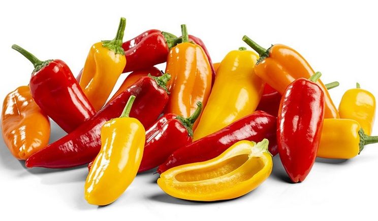 Ізраїльська компанія Breedx впроваджує безнасіннєві перці та смачні томати