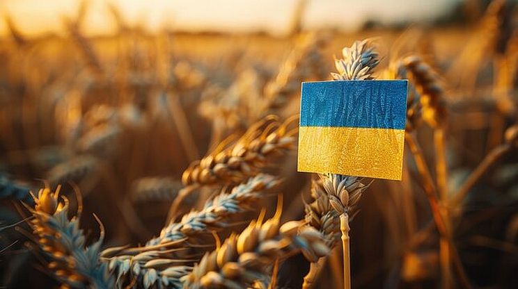 Як нестача вологи в травні вплине на врожай зернових і олійних культур у 2025 році