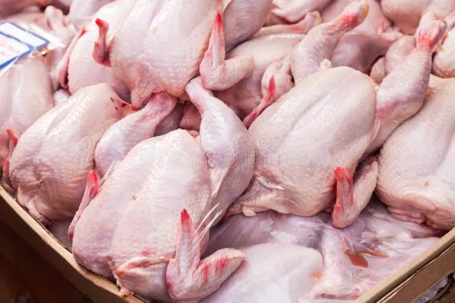 Production and Export of Poultry Meat in Ukraine: Forecast for 2025